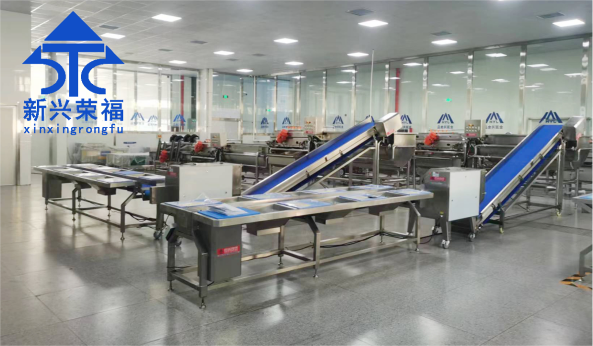 日供蔬菜20噸，新興榮福承建凈菜加工項目完成驗收